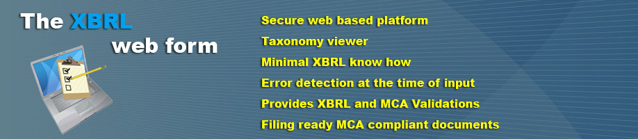 XBRL Webform